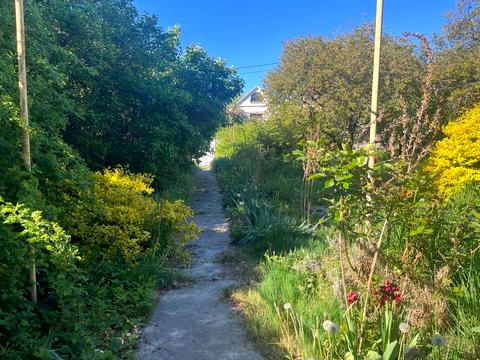 будинок за адресою Міклоша Берчені вул.