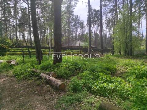 участок по адресу с. Плюты, Київська ул.