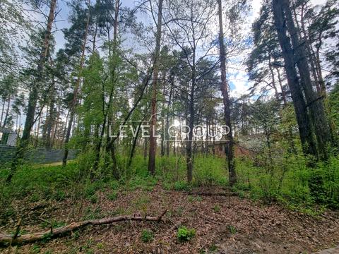 участок по адресу с. Плюты, Київська ул.