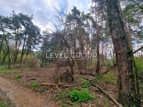 участок по адресу с. Плюты, Київська ул.