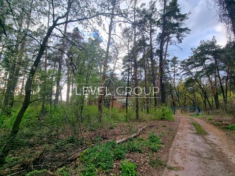 участок по адресу с. Плюты, Київська ул.