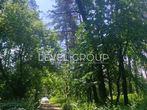 участок по адресу с. Плюты, Київська ул.