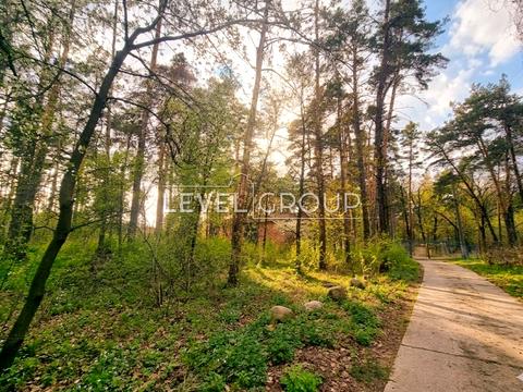 участок по адресу с. Плюты, Київська ул.