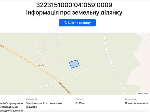 участок по адресу с. Плюты, Київська ул.