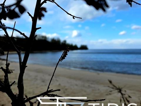 дом по адресу Соборная ул. (Ленина)