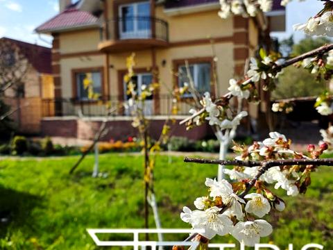 дом по адресу Соборная ул. (Ленина)