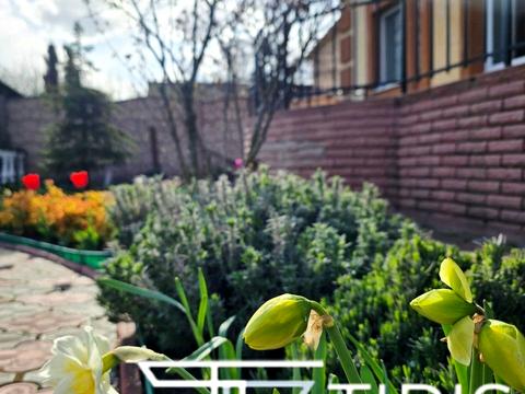 дом по адресу Соборная ул. (Ленина)