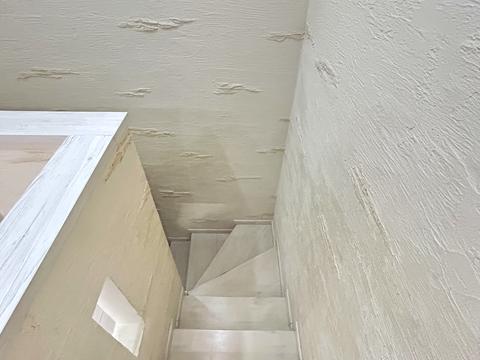 дом по адресу Просвещения ул., 4