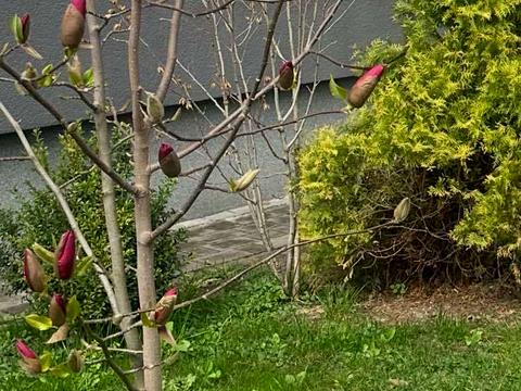 квартира за адресою Трускавецька вул., (Будинок 10)