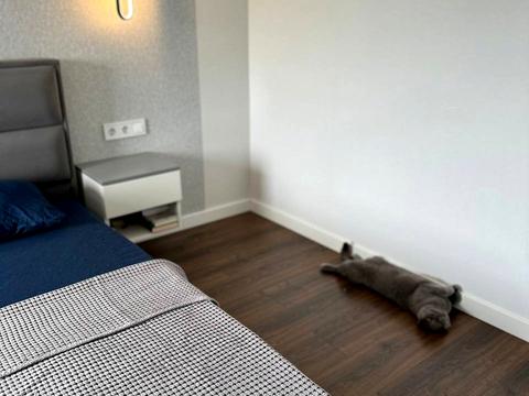 квартира за адресою Мисливська вул., 3-Б