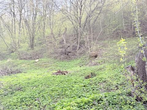 ділянка за адресою Підгірна