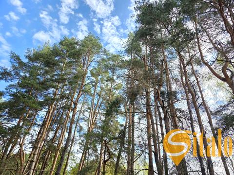 участок по адресу Новояворовск, Львовская ул.