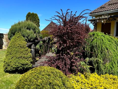 будинок за адресою Івасюка