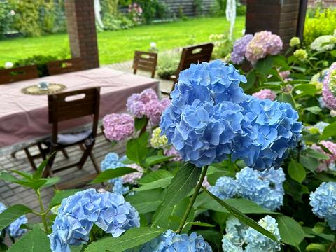 будинок за адресою с. Старі Петрівці, Садова