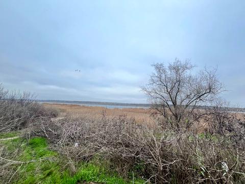 ділянка за адресою Безіменна вул., 55