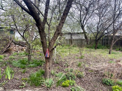 дом по адресу Олександра Корнієвського ул. (Цимбаліста), 22