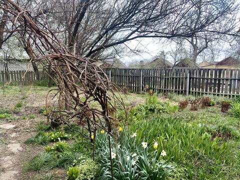 дом по адресу Олександра Корнієвського ул. (Цимбаліста), 22