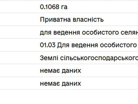 ділянка за адресою с. Рясне-Руське, Залізнична