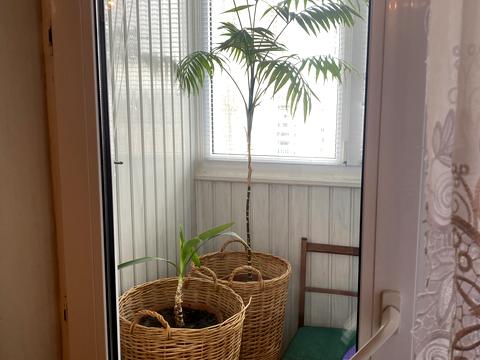 квартира за адресою Вадима Гетьмана вул., 44