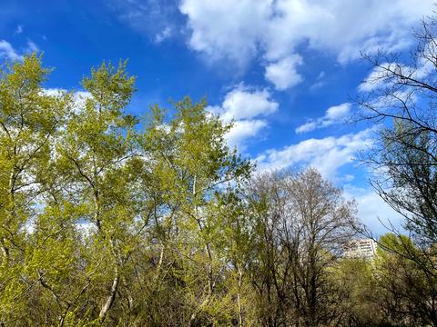 квартира за адресою Івана Франка просп., 26