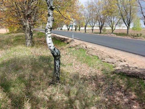 ділянка за адресою 