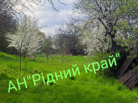 дом по адресу Волонтерская ул. (Конноармейская), 84