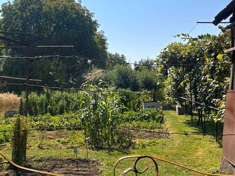 будинок за адресою З.Міклоша