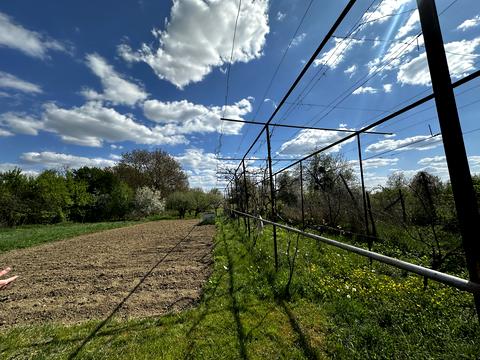 будинок за адресою З.Міклоша