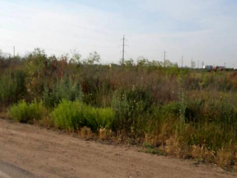 участок по адресу Зелений гай