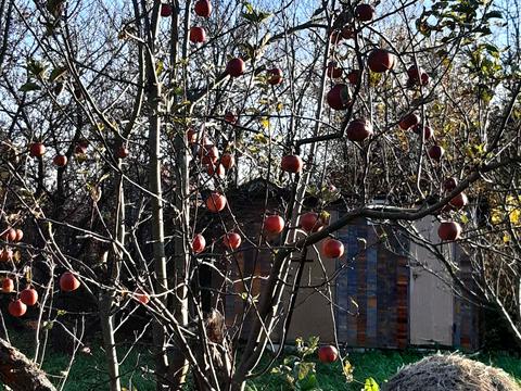 участок по адресу 