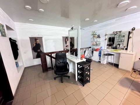 комерційна за адресою Сергія Єфремова вул. (Ворошилова), 3