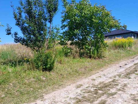 ділянка за адресою Сонячна вул.