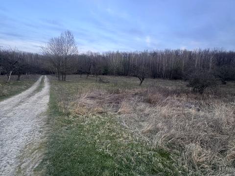 участок по адресу 