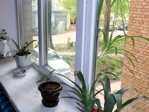 квартира по адресу Зодчих ул., 56-А