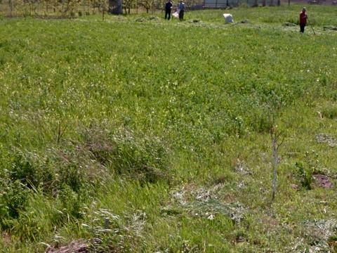 ділянка за адресою Йоахима Волошиновського вул.