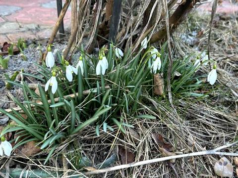 будинок за адресою Волошка