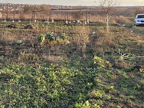 участок по адресу 