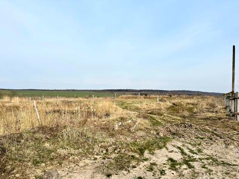 комерційна за адресою Шевченка, 1