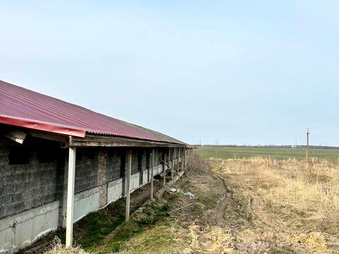 комерційна за адресою Шевченка, 1