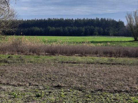 будинок за адресою космонавтів