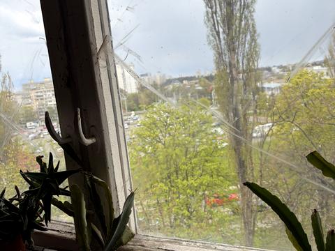 квартира за адресою Петра Курінного вул. (Комісара Рикова), 3