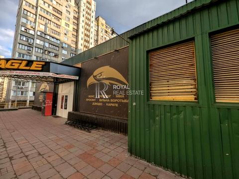 комерційна за адресою Лариси Руденко вул., 3-Б