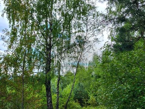 участок по адресу Нижний Конец ул., 3