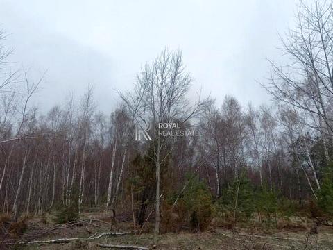 участок по адресу Нижний Конец ул., 3