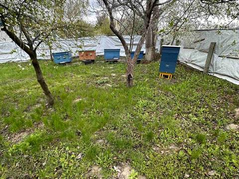 дом по адресу Луговая, 46