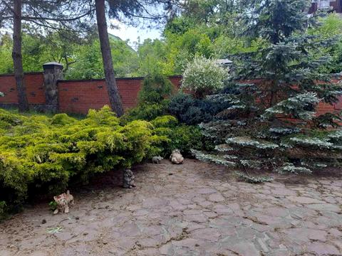 дом по адресу Вербовая ул.