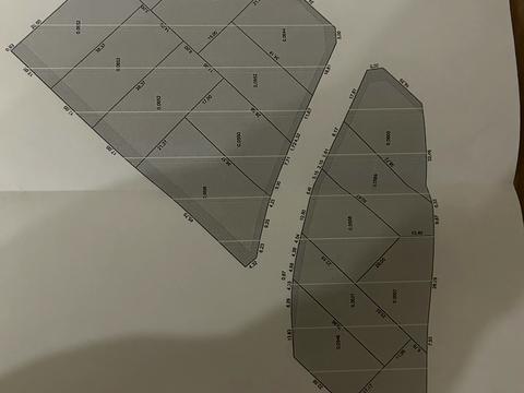 участок по адресу Прорізна, 15