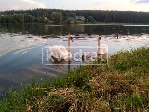 ділянка за адресою с. Круглик,