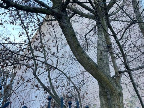 комерційна за адресою Андріївський узвіз, 9