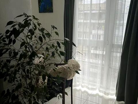 квартира за адресою Павла Загребельного вул. (Миколи Раєвського), 11